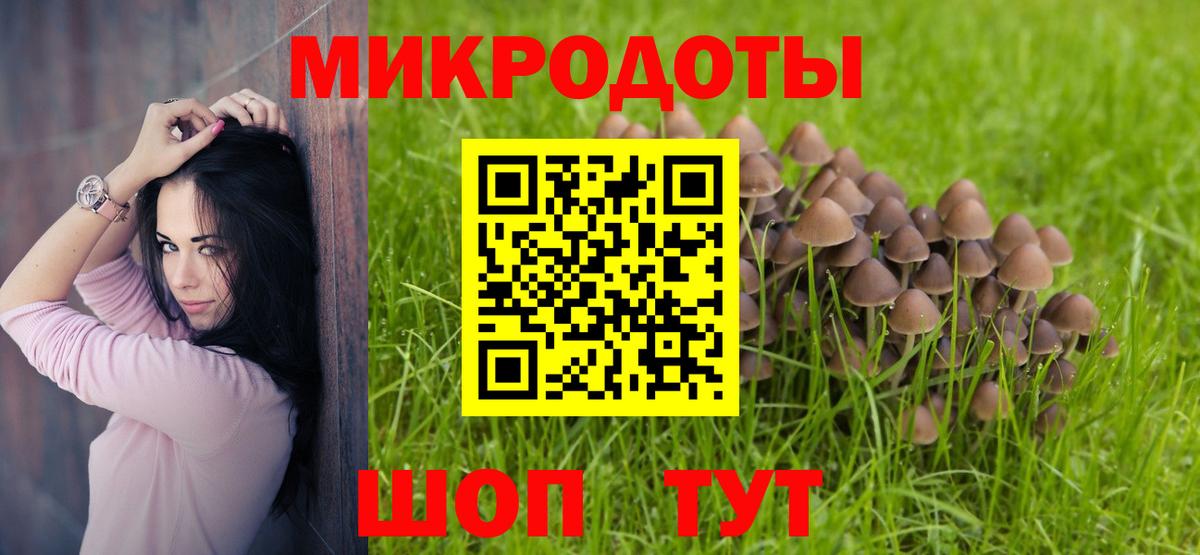 Галлюциногенные грибы MAGIC MUSHROOMS Партизанск